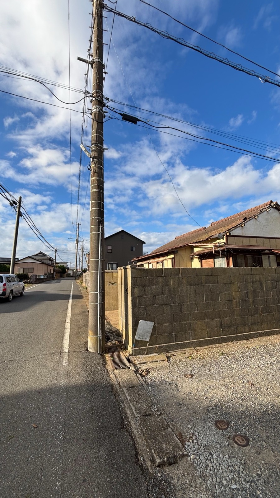 道路沿いの木の伐採（作業後）