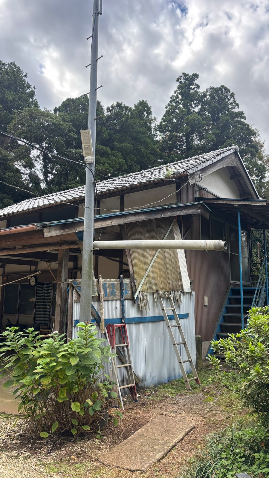 住宅の前の木の伐採（作業後）
