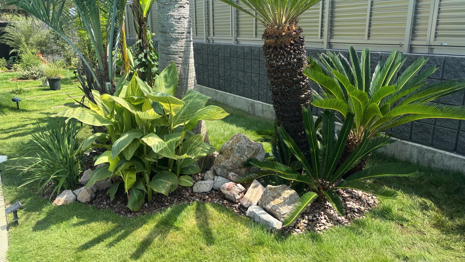 ユッカを植えた庭